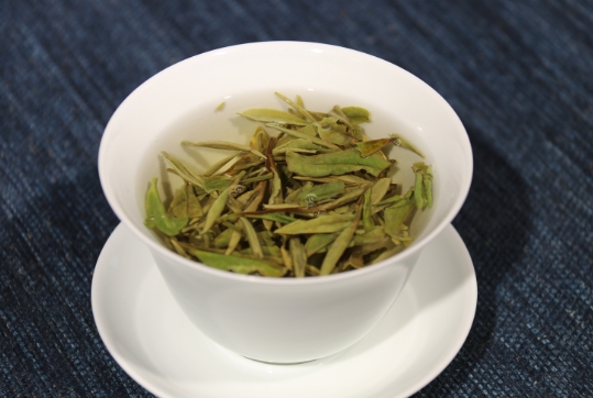福建白牡丹茶是什么茶？散茶好还是饼好？