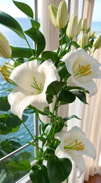 百合花底部叶子发黄是什么原因？如何处理？