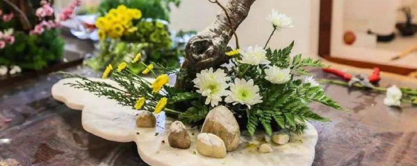 插花技巧与搭配（有关插花的基本技法）