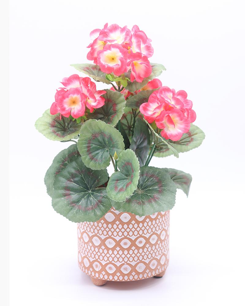 海棠花语代表什么意思（关于海棠花的象征意义）