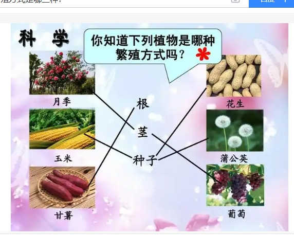 植物繁殖方式是哪三种？