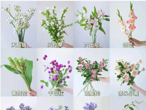 夏天的花有哪些?叫什么名字？