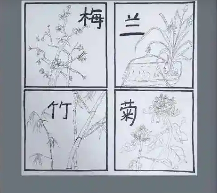 花中四君子是什么？它们又什么寓意？
