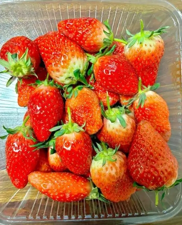 草莓上市的季节是几月份？多久结束？