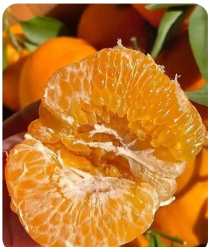春见和丑橘的区别是什么？
