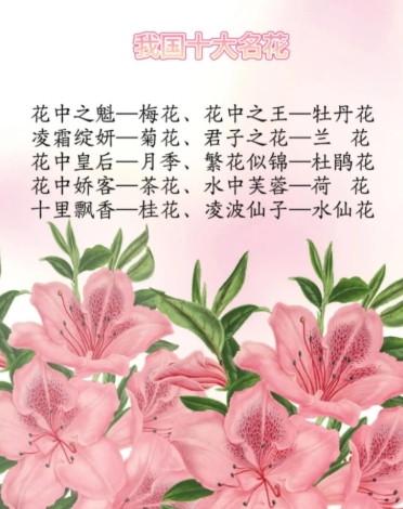 花的寓意有哪些？