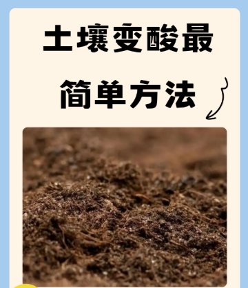 土壤调酸最好方法是什么？